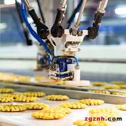 阿智商鋪攜手上海發那科 工業機器人M-2iA助力食品包裝效率提升50%